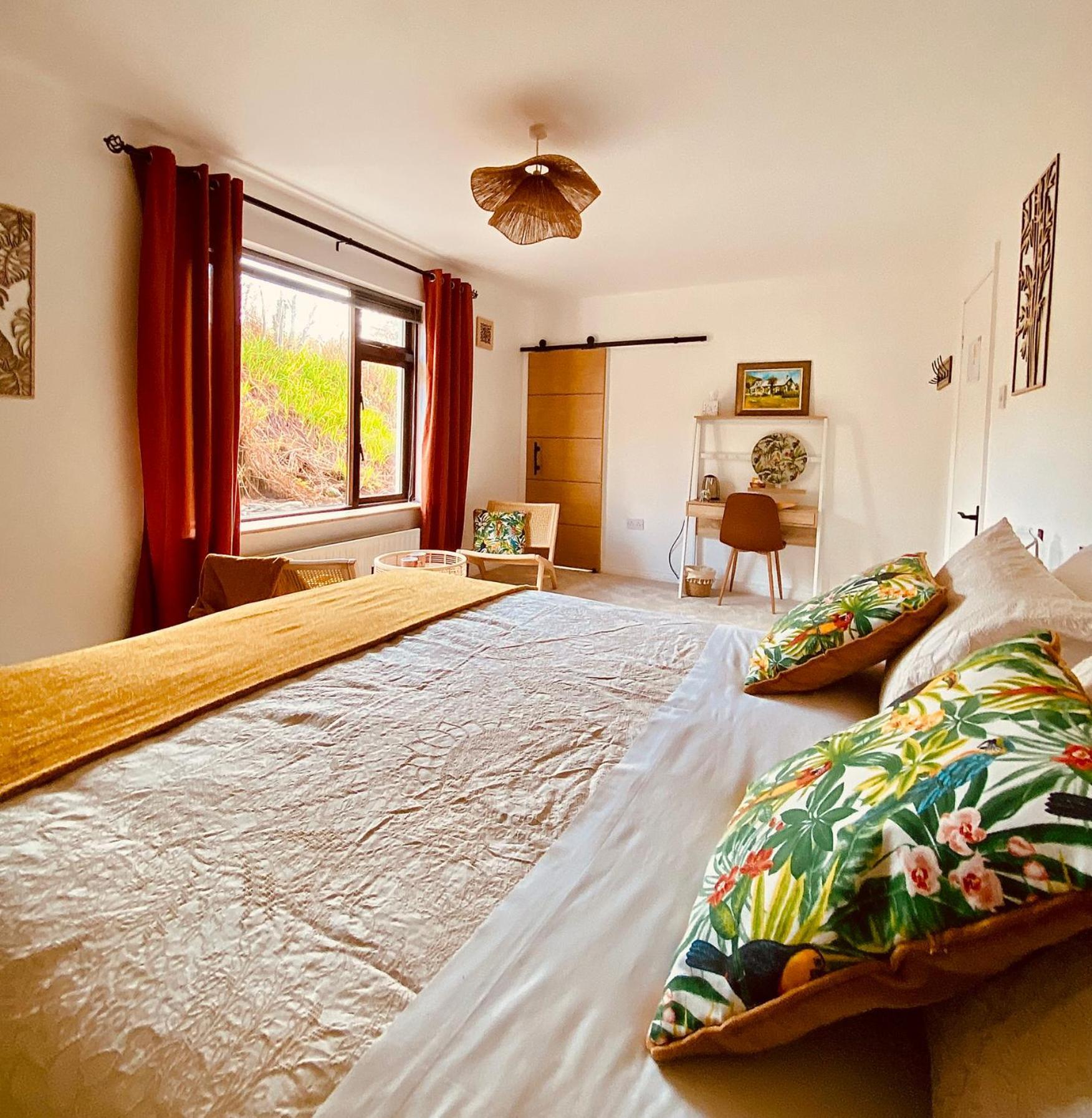 Bed and Breakfast Derrynane Bay House Caherdaniel Exteriér fotografie